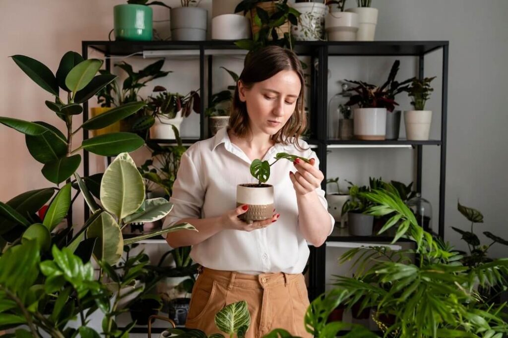 Dicas para Organizar Plantas e Vasos e Deixar a Casa Mais Verde